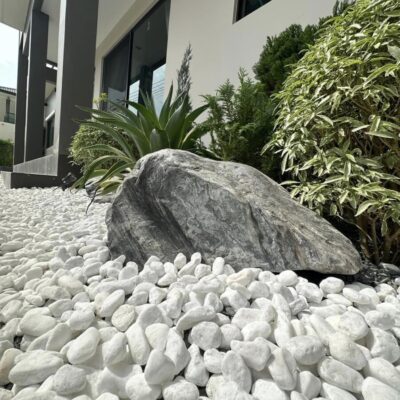 Read more about the article 🚚 จัดส่งหินขาวหิมะ 🚚  เทหินขาวหิมะแล้วทำให้สวนสวยขึ้น 200%