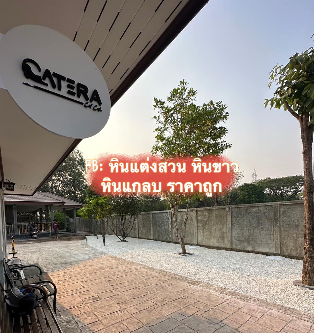 Read more about the article 🪨 เทหิน Catera Cat Cafe Chiangmai : คาเฟ่แมวเชียงใหม่🪨  ใช้หินขาว 550 ถุง  คาเฟ่สำหรับคนรักน้องแมว น้องๆที่ร้านน่ารักมากๆค่ะ ลูกค้าท่านใดเป็นสาวกทาสแมว แนะนำให้ไปคาเฟ่นี้เลยค่ะ มีนายท่านน่ารักๆรอต้อนรับเยอะแยะเลย 🐈